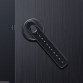 Graffiti Smart Spherical Door Handle Lock Wooden Door Fingerprint Password Lock